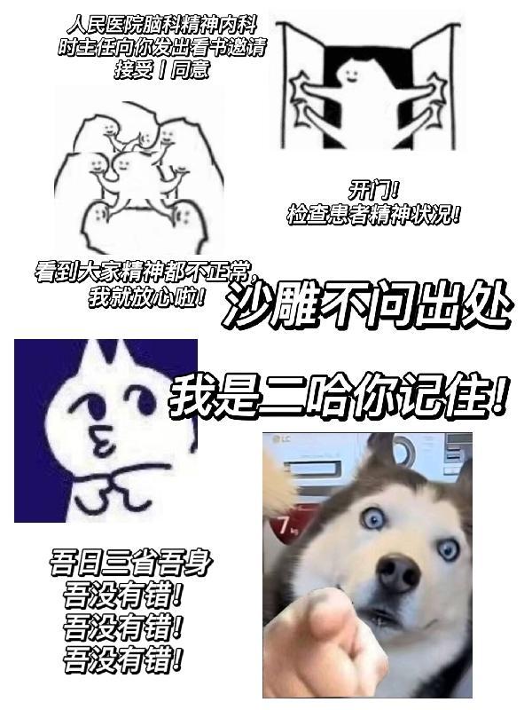 沙雕二哈的头像