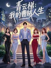 曹贼无错版